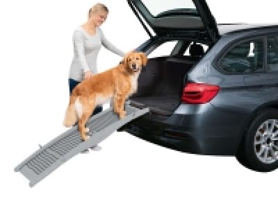 Dog Ramp 29.99 €