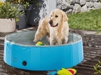 Lidl  Dog Pool