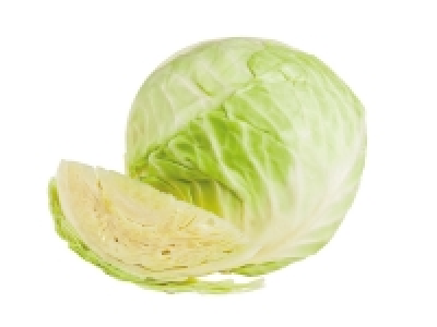 White Cabbage