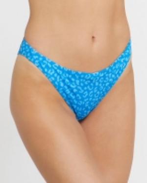 Animal V Front Brief