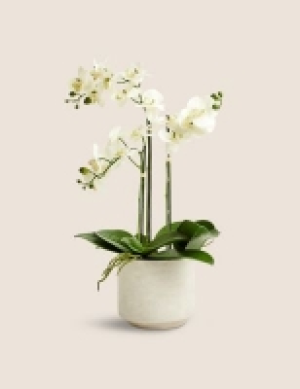 Marks and Spencer  Artificial Large Orchid Plant