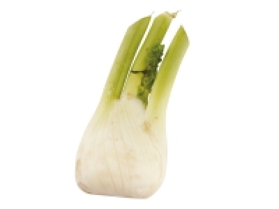 Fennel 0.49 €