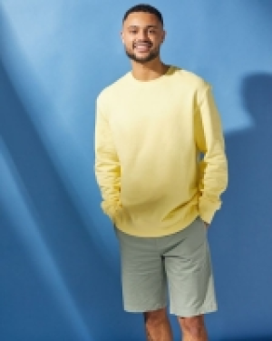 Regular Fit Crew-Neck Sweatshirt 5.00 €