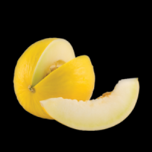 CENTRA YELLOW MELLON 1PCE