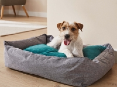 Lidl  Pet Bed