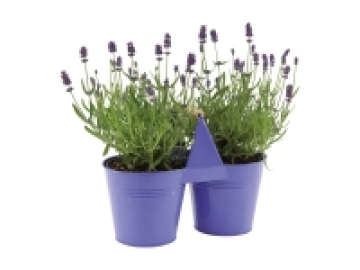 Lavender Duo 7.99 €
