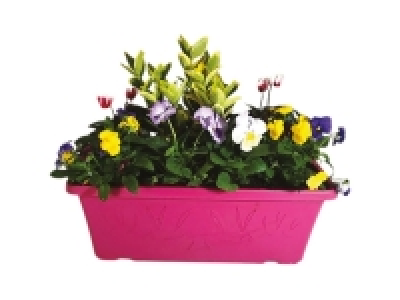 Autumn Window Box 12.99 €