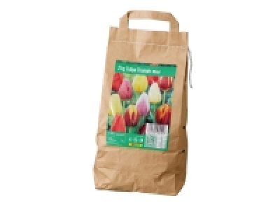 Large Pack Tulip Bulbs 2kg