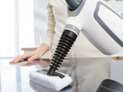 Handheld Steam Cleaner 22.99 €
