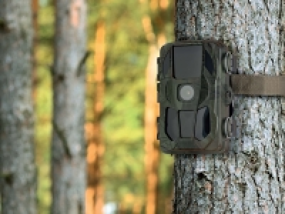 Wildlife Surveillance Camera 89.99 €