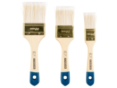 Paintbrush Set Assortment