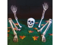 Lidl  Graveyard Skeleton Bones
