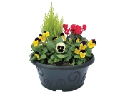 Lidl  Medium Autumn Planter