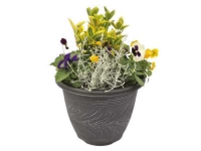 Large Autumn Planter