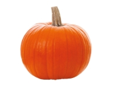 Extra Large Pumpkin