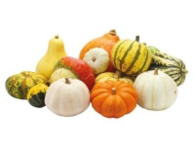 Mixed Gourds