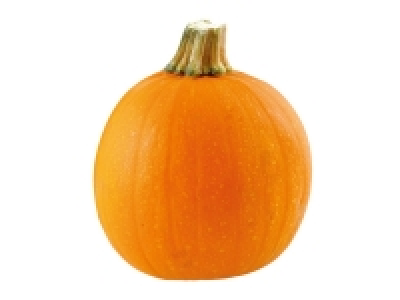 Small Pumpkin