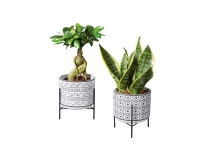 Lidl  Easy Care Stand Plant