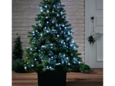 Fairy Lights