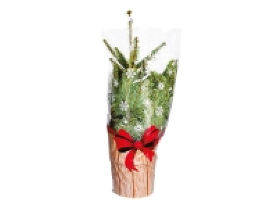 Lidl  Medium Christmas Tree