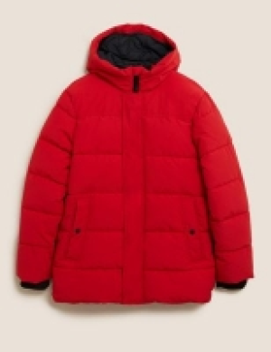 Hooded Puffer Jacket with Thermowarmth 100.00 €