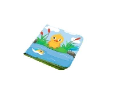 Baby Bath Book