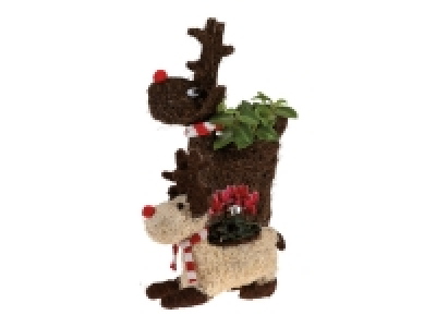 Lidl  Decorative Reindeer Plant