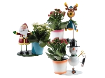 Lidl  Winter Figure Kalanchoe