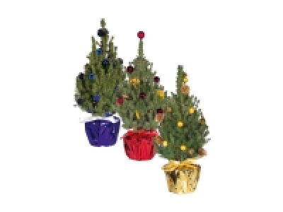 Decorated Christmas Tree