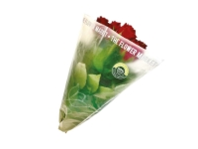 Lidl  Roses