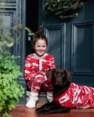 Leigh Tucker Nollaig Dog Sweatshirt