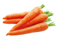 Lidl  Carrots