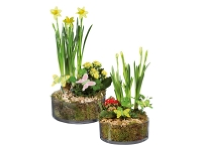 Lidl  Glass Planter