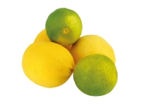 Lidl  Lemon < Lime Mixed Net