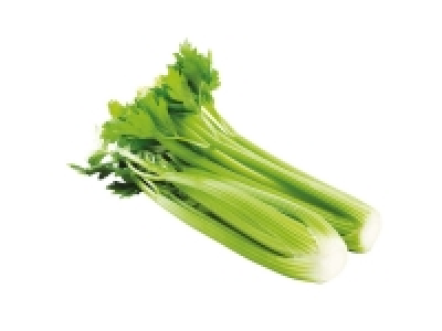 Organic Celery 0.99 €