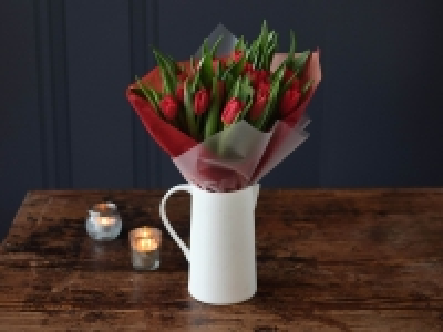 Lidl  Valentines Tulips