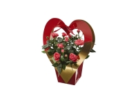 Lidl  Rose Heart Gift Box