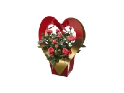 Rose Heart Gift Box