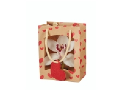 Large Orchid Gift Bag