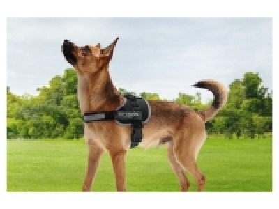 Dog Harness 9.99 €