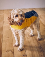 Dunnes Stores  Dog Raincoat
