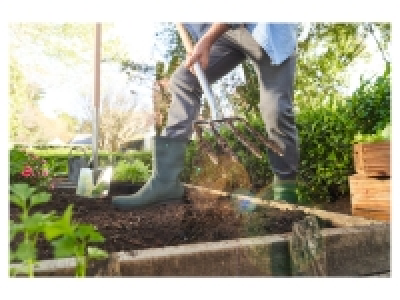 Garden Tool Assortment 24.99 €