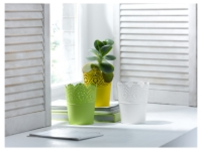 Plant Pots / Plant Pot