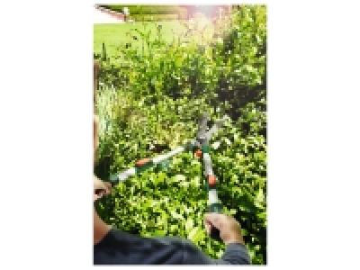 Extendable Hedge Shears 14.99 €