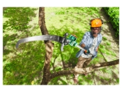 Extendable Tree Lopper with Saw 24.99 €