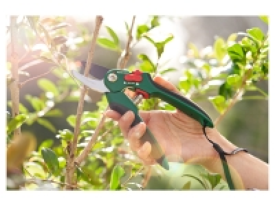 Bypass / Anvil Secateurs 4.99 €