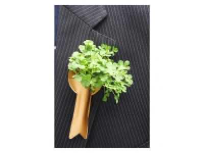 Irish Shamrock Lapel