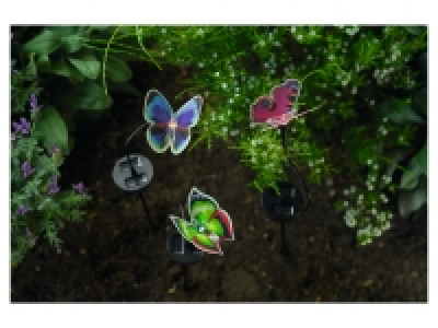 Decorative Solar Light 2.99 €