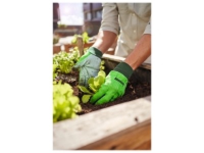 Garden Gloves 4.99 €
