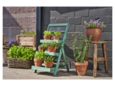 Lidl  Plant Ladder Stand